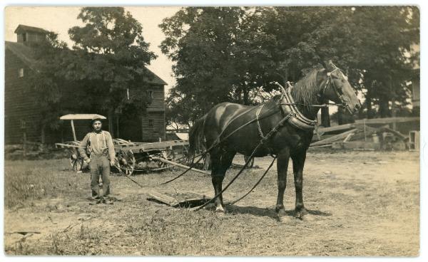 Farmer with Horse-Drawn Farm Equipment