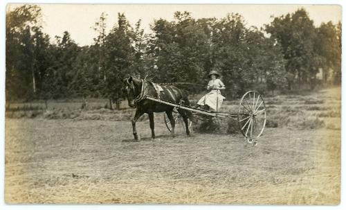 Woman Driving Hay Rake