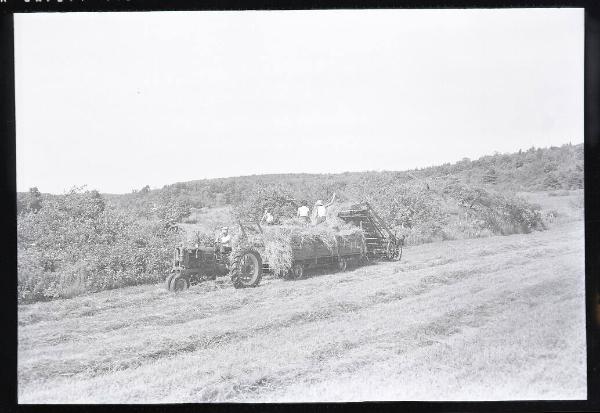 In the Hay Wagon I