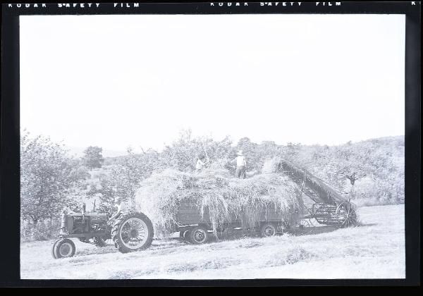 In the Hay Wagon II