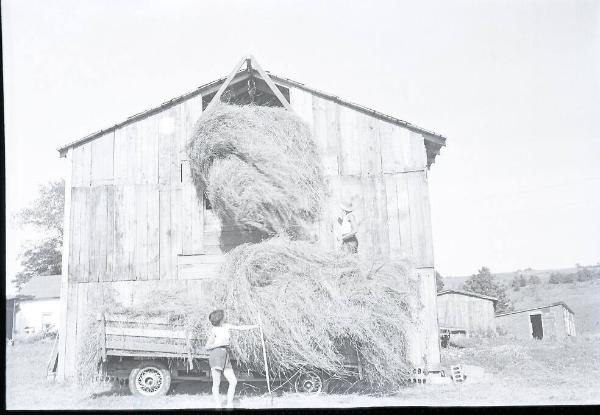 Loading Hay