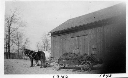 Manure Spreader