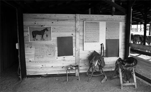 Orange County 4-H Display at New York State Fair