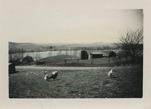 Landscape with Farm and Chickens