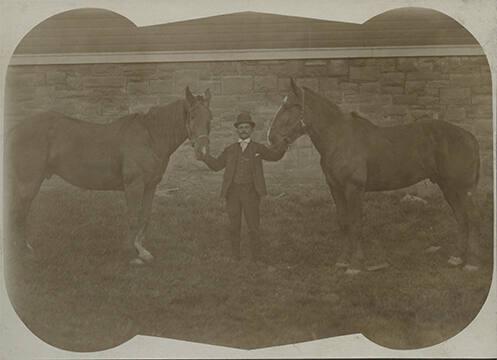 Man with Horses