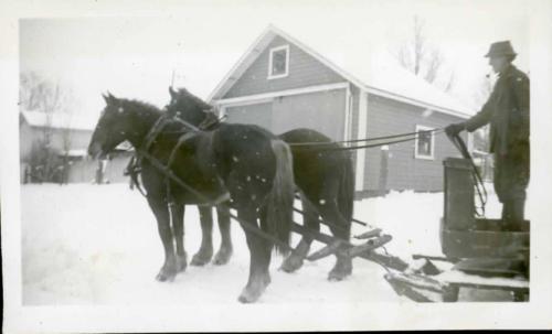 Horses Hitched to a Wagon Sled