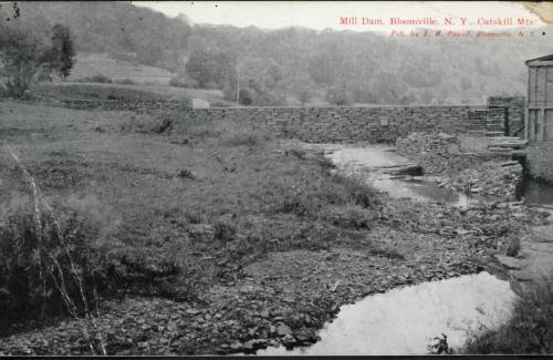 Mill Dam, Bloomville NY