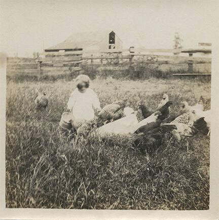 Child with Flock of Chickens