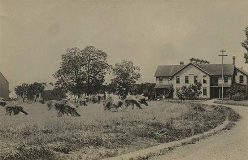 Willard State Mental Hospital Farm