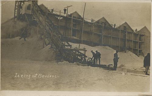 Ice Harvest for Borden Dairy