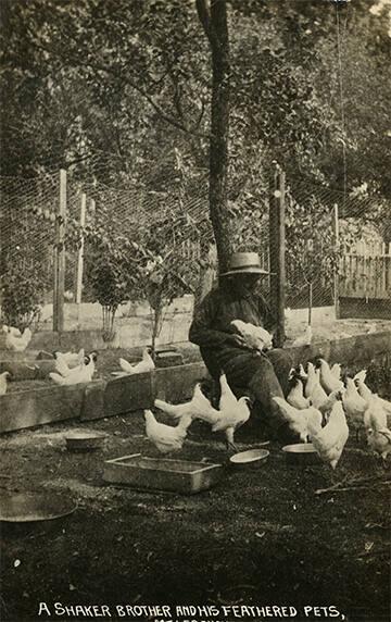 A Shaker Brother with a Brood of Chickens