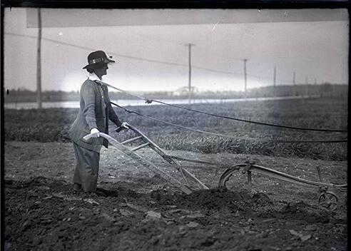 Woman Using A Single-Furrow Horse Drawn Plow