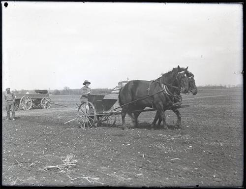 Woman on a Horse Drawn Seeder Machine