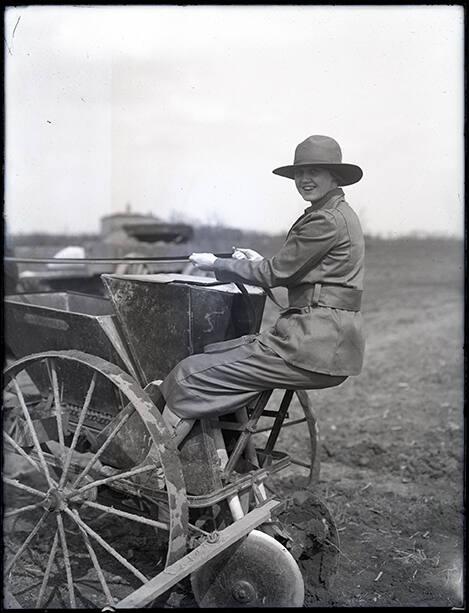 Woman on a Horse Drawn Seeder Machine