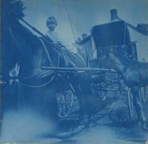 Print, Photographic, Cyanotype