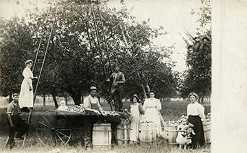 Picking Apples in Gasport, NY