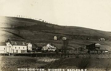 Widmer's Vineyard in Naples, NY