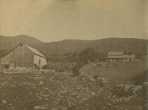 Farmstead with Horses