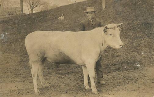 Farmer with a Bull