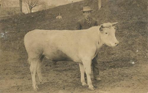 Farmer with a Bull