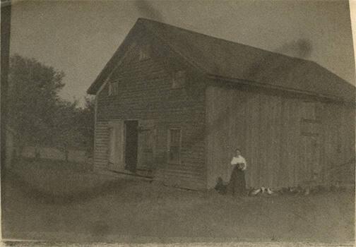 Woman Feeding Chickens