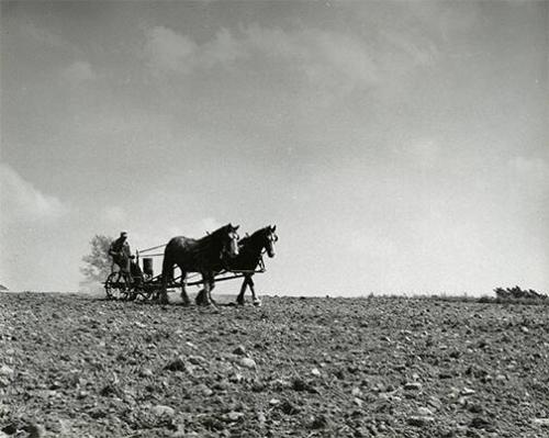 Man Seeding Field