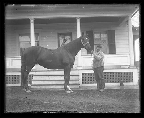 Man with Horse