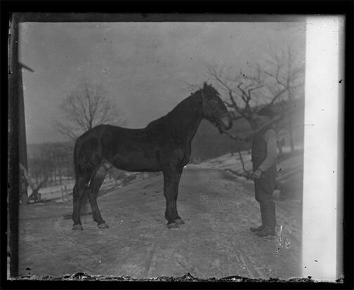 Man with Horse