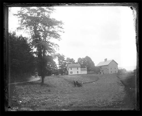 Farmstead and Mowing