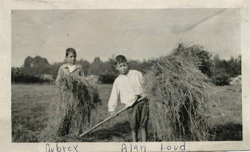 Boys with Hay 
