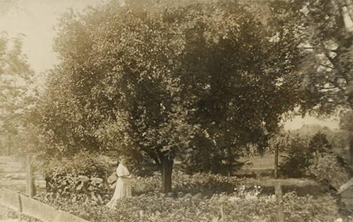 Woman in Garden 
