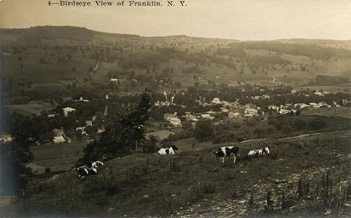 View of Franklin, NY 
