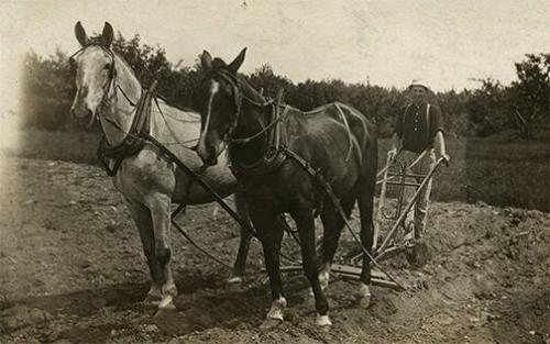 Working a Field in Candor, NY 
