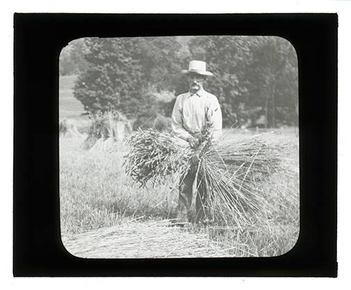 A Man with a Bundle of Grain 
