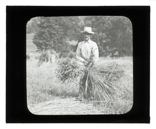 A Man with a Bundle of Grain 
