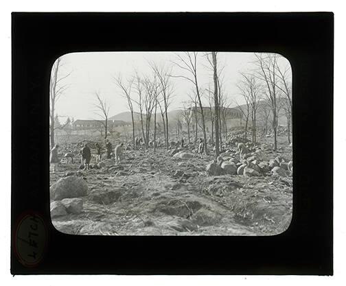 Group in a Field 
