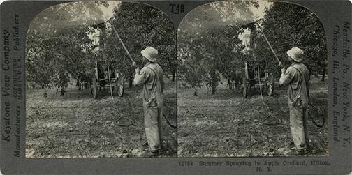 Spraying an Apple Orchard in Hilton, NY 
