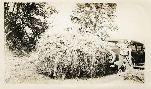 Loading Loose Hay onto a Wagon 
