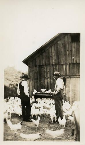 Two Men with Flock of Chickens 
