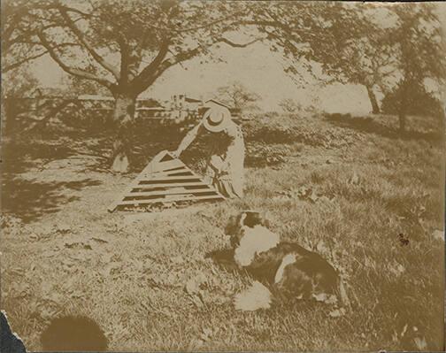 Woman with Chicken Coop 
