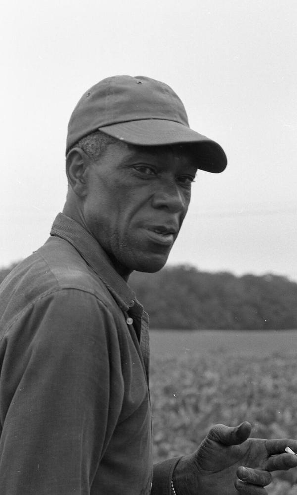 Portrait of a Farmworker 5