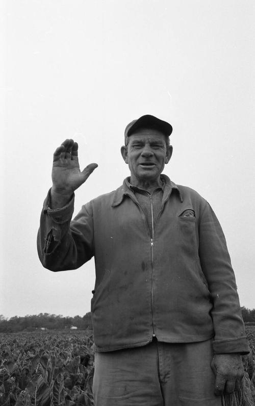 Portrait of a Farmworker 9