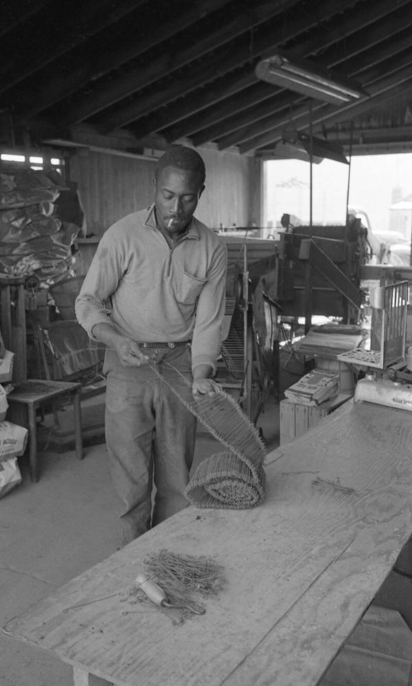 Portrait of a Farmworker 12