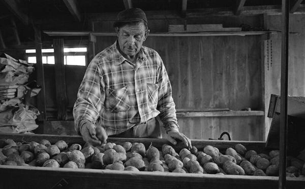 Portrait of a Farmworker 14