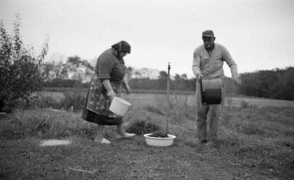 Portrait of Two Farmers 1