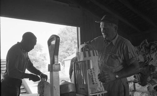 Portrait of Two Farmworkers 2