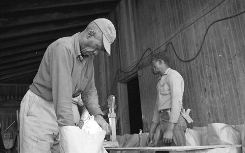 Portrait of Two Farmworkers 3