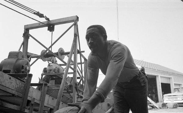 Portrait of a Farmworker 20