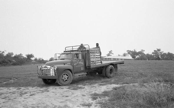 Portrait of a Truck 1