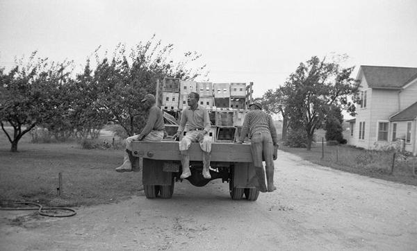 Farmers on a Truck